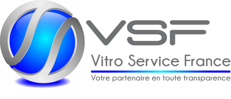 Logo VSF 2013