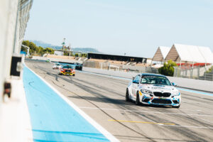 Voitures de courses Panther Pro sur circuit